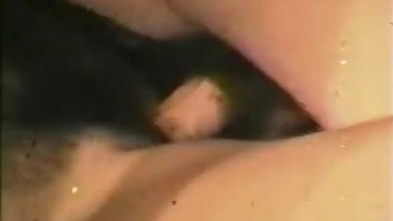 Brunett love licking pussy and fucking